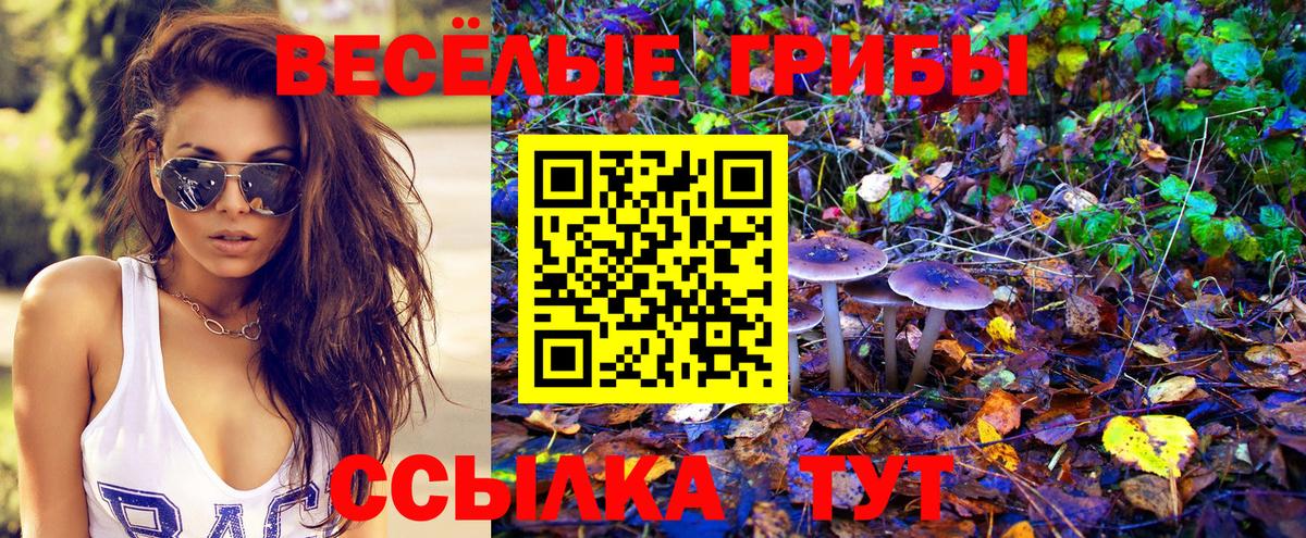 Галлюциногенные грибы прущие грибы Белебей