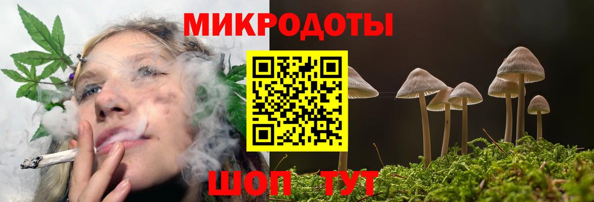 Белебей  Псилоцибиновые грибы мухоморы  Псилоцибиновые грибы Cubensis  где можно купить   Вход с VPN 